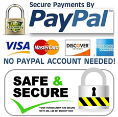 Secure Payment